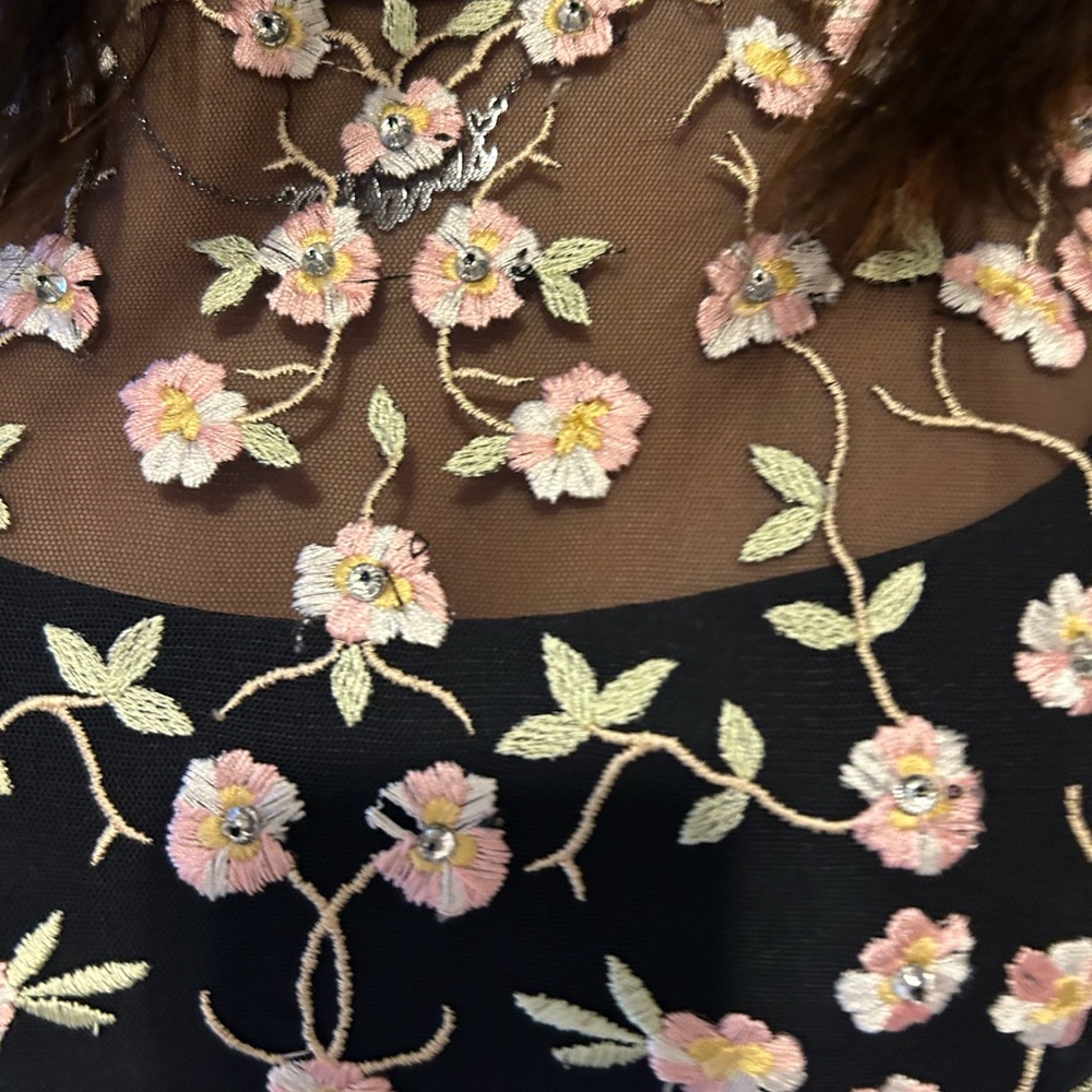 Needle and Thread Beaded and embroidered dress